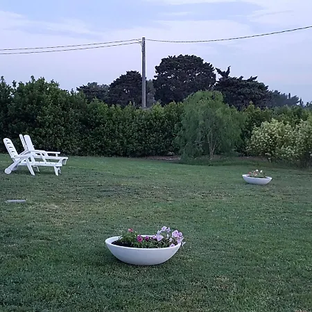 Terra Dei Profumi *